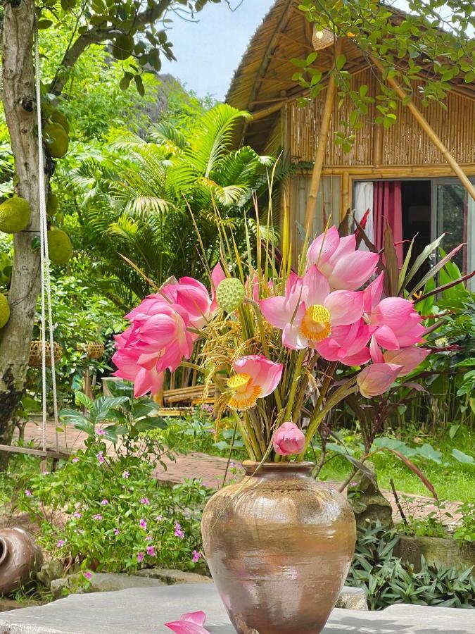 Trang An Lamia Bungalow Ninh Bình Extérieur photo